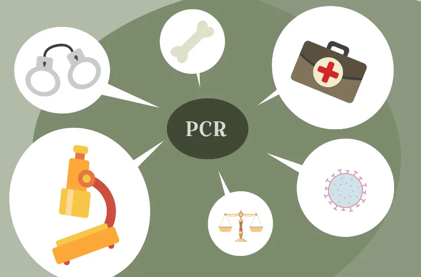 Aplicaciones de la PCR en la Ciencia Moderna
